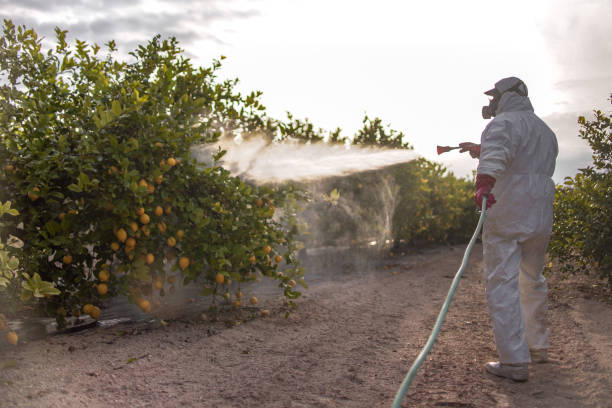 Best Pest Control Near Me  in Pleasant Hill, OH