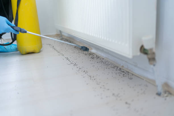 Professional Pest Control in Pleasant Hill, OH